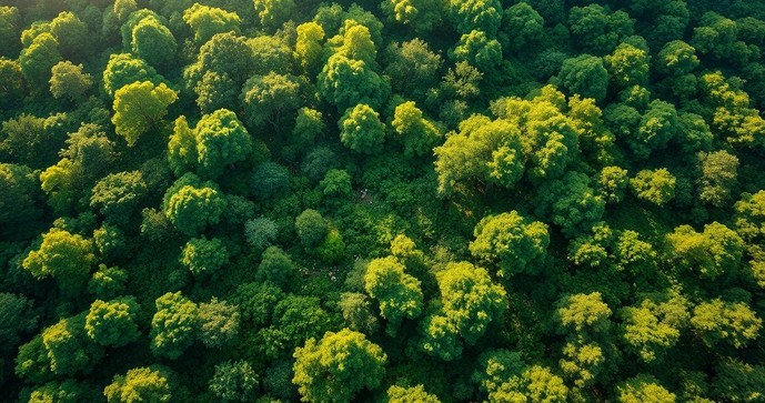 Monitoramento ambiental é essencial para a preservação do planeta e a saúde pública. Descubra como ele impacta nossas vidas. Monitoramento ambiental é essencial para a preservação do planeta e a saúde pública. Descubra como ele impacta nossas vidas.