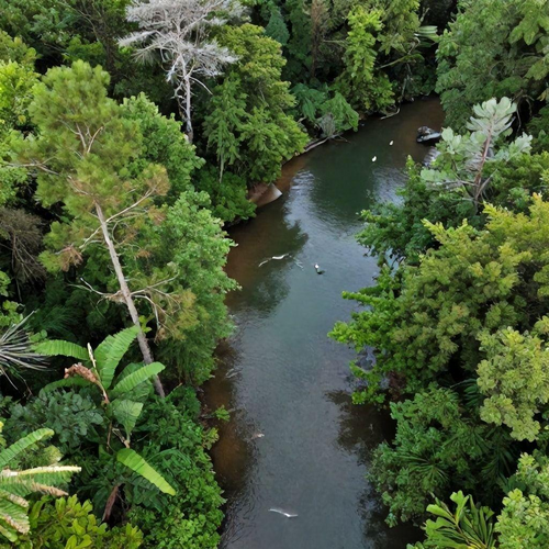 Monitoramento Ambiental: Estratégias Sustentáveis para Preservar o Meio Ambiente