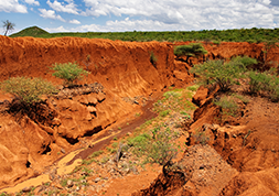 Estudos Geológicos e Hidrogeológicos