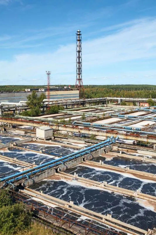 Imagem ilustrativa de Empresa especializada em licenciamento ambiental
