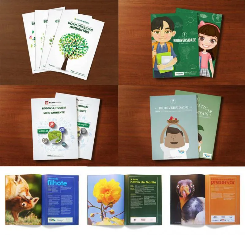 Imagem ilustrativa de Empresas de marketing ambiental