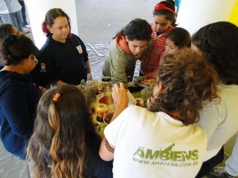 Imagem ilustrativa de Programa de educação ambiental