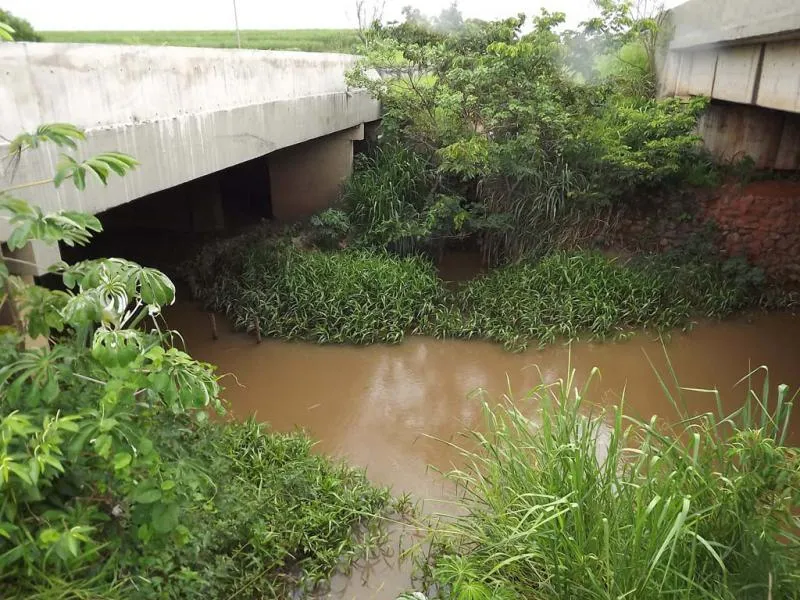 Imagem ilustrativa de Supervisão ambiental de obras