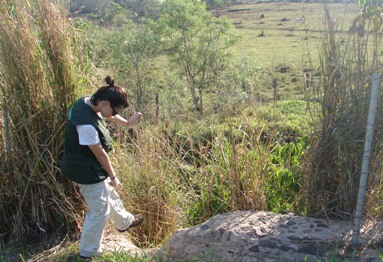 Saiba como é simples adequar seu imóvel rural às novas leis